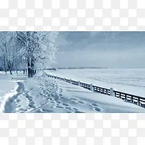 高清摄影冬天的树木海报合成-空若网 高清摄影冬天的树木海报合成-空若网