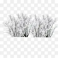 ������Ӱ����ϳ���ľ����-������