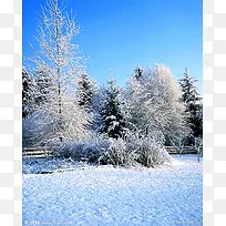 ������Ӱ�ϳɶ����ɭ��-������