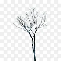 创意合成冬天的树木摄影-空若网 创意合成冬天的树木摄影-空若网