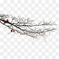 高清摄影冬天的树木雪花-空若网 高清摄影冬天的树木雪花-空若网