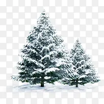 ¶¬ÌìÊ¥µ®½ÚÔªËØÊ¥µ®Ê÷-¿ÕÈôÍø ¶¬ÌìÊ¥µ®½ÚÔªËØÊ¥µ®Ê÷-¿ÕÈôÍø