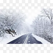 ������Ӱ����ɭ��-������