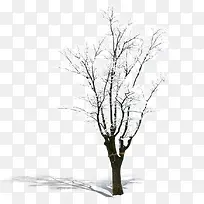 ������Ӱ�������ľɭ��-������