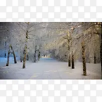 高清摄影冬天的雪花-空若网 高清摄影冬天的雪花-空若网