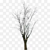 ѧ��-������