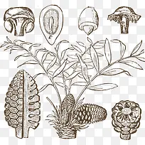 手绘的树叶-空若网 手绘的树叶-空若网