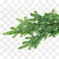 圣诞节绿色松叶装饰-空若网 圣诞节绿色松叶装饰-空若网