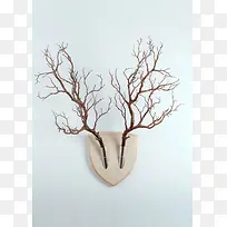 插上冬天树枝伸向不同地方-空若网 插上冬天树枝伸向不同地方-空若网