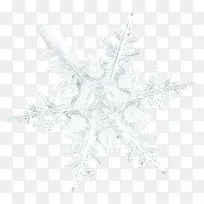 ��ɫ��ѩ��-������