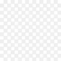 ��ɫѩ��ʸ���ز�-������