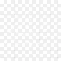 Ê¥µ®½ÚÑ©»¨-¿ÕÈôÍø Ê¥µ®½ÚÑ©»¨-¿ÕÈôÍø