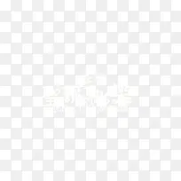 ʥ���ڰ�ɫ������-������