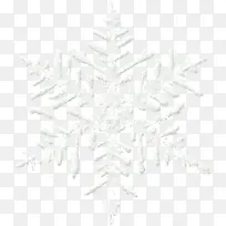 °×ɫѩ»¨Ê¥µ®½Úͼ°¸-¿ÕÈôÍø °×ɫѩ»¨Ê¥µ®½Úͼ°¸-¿ÕÈôÍø