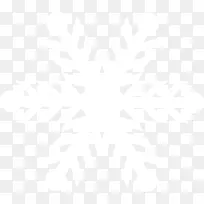 雪花 白色-空若网 雪花 白色-空若网