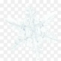 松日纯洁白色雪花-空若网 松日纯洁白色雪花-空若网
