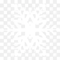 ѩ�� ��ɫ-������