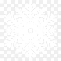 唯美白色美丽雪花-空若网 唯美白色美丽雪花-空若网