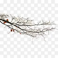 ���嶬����֦ѩ��-������