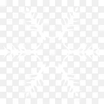 雪花 白色-空若网 雪花 白色-空若网