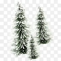 Ê¥µ®½ÚÖ²ÎïÑ©»¨×°ÊÎ-¿ÕÈôÍø Ê¥µ®½ÚÖ²ÎïÑ©»¨×°ÊÎ-¿ÕÈôÍø