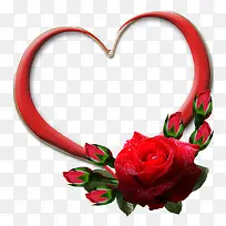 ���ĺ�õ��-������