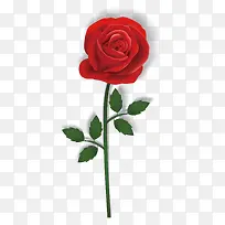 一直玫瑰花矢量素材-空若网 一直玫瑰花矢量素材-空若网