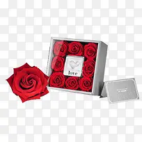 高清摄影礼物红色的玫瑰花-空若网 高清摄影礼物红色的玫瑰花-空若网