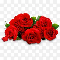 创意元素浪漫红色玫瑰花摄影-空若网 创意元素浪漫红色玫瑰花摄影-空若网
