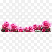 红色玫瑰花高清摄影-空若网 红色玫瑰花高清摄影-空若网