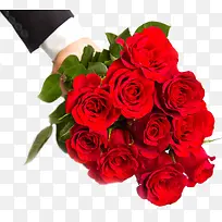 ��õ����ӰͼƬ-������