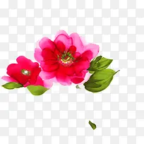 彩色时尚红色玫瑰花朵-空若网 彩色时尚红色玫瑰花朵-空若网