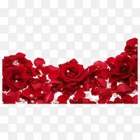 ��ɫõ��-������