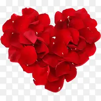 ��ɫõ�廨�갮��-������