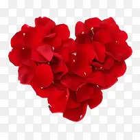 红花-空若网 红花-空若网