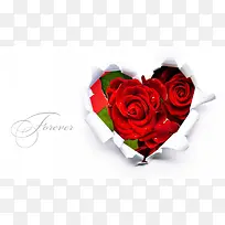 爱心红色玫瑰-空若网 爱心红色玫瑰-空若网