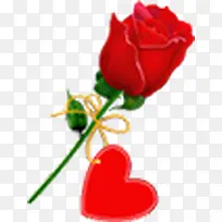 手绘红色玫瑰爱心-空若网 手绘红色玫瑰爱心-空若网
