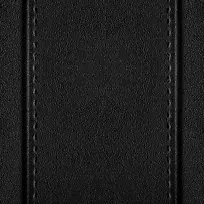 Ƥ�ﱳ������-������