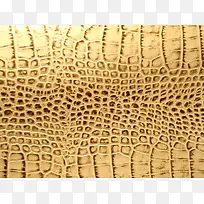 ��ɫƤ�ﱳ��-������