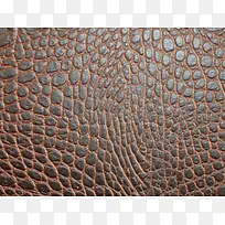 真皮纹理背景-空若网 真皮纹理背景-空若网