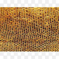 ��Ƥ���ʱ���-������