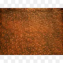 ��Ƥ��������-������