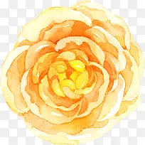 水彩花卉-空若网 水彩花卉-空若网