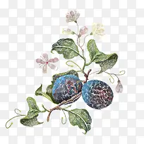 免抠手绘花藤下载-空若网 免抠手绘花藤下载-空若网