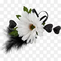 白色山茶花-空若网 白色山茶花-空若网