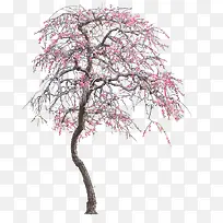 ����-������