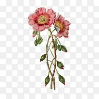 �ֻ滨֦װ���ز�-������