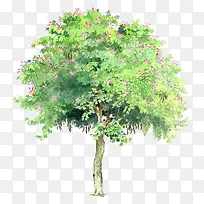 ÊÖ»æÇåл¨¶ä´óÊ÷-¿ÕÈôÍø ÊÖ»æÇåл¨¶ä´óÊ÷-¿ÕÈôÍø