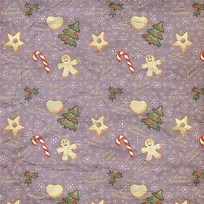 ʥ���ڱ���-������