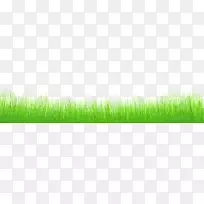 麦草绿叶植物茎壁纸剪枝草缘-空若网 麦草绿叶植物茎壁纸剪枝草缘-空若网